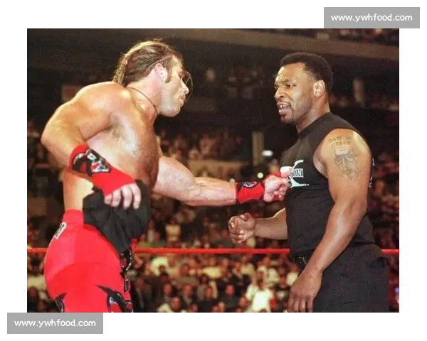 泰森震撼亮相WWE擂台精彩瞬间全记录