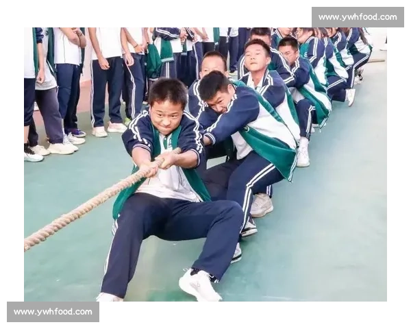 团队力量与智慧较量：激烈拔河比赛精彩瞬间全记录
